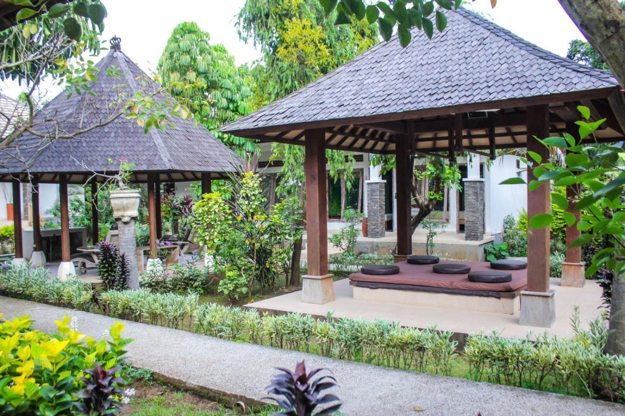 Araminth Guest House And Spa ロヴィーナ エクステリア 写真