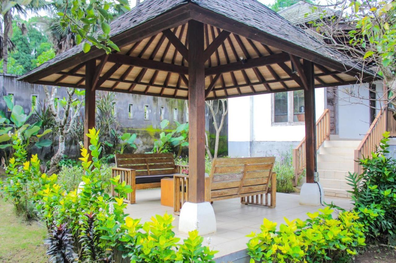 Araminth Guest House And Spa ロヴィーナ エクステリア 写真