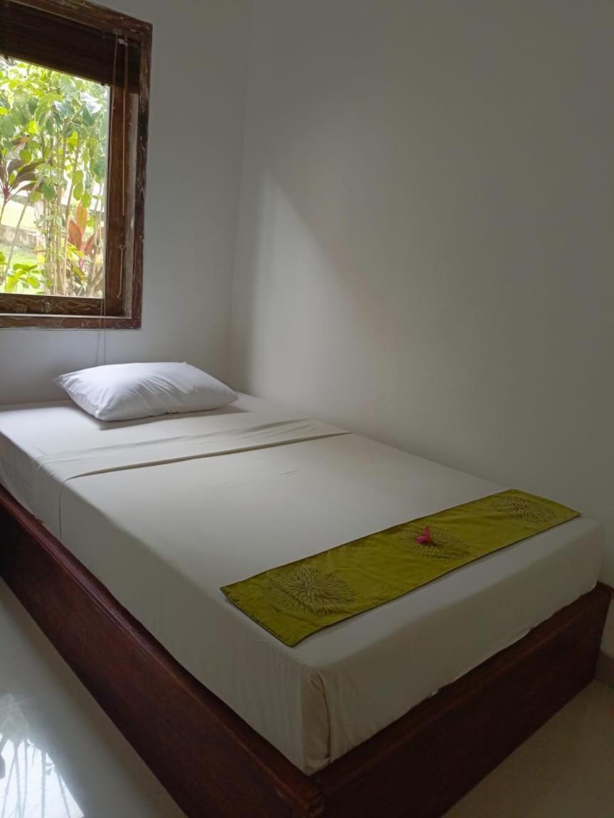 Araminth Guest House And Spa ロヴィーナ エクステリア 写真