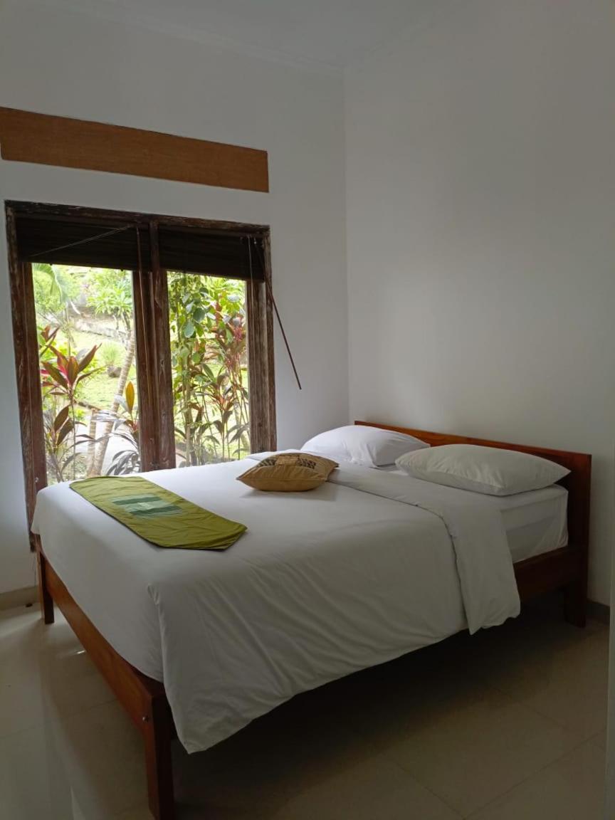 Araminth Guest House And Spa ロヴィーナ エクステリア 写真